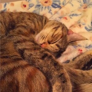 Meet your Posher, Samantha